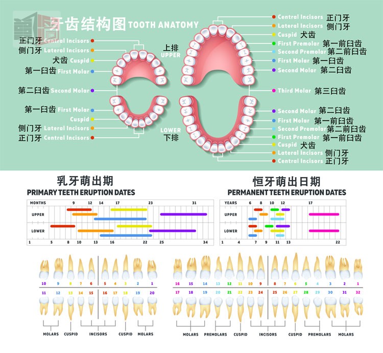  登录入口 