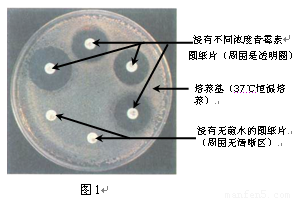  登录入口 