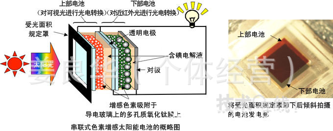  登录入口 